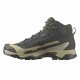 Треккинговые ботинки мужские Salomon X ultra 5 mid gtx 