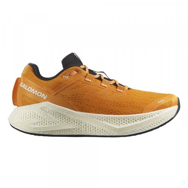 Кроссовки для бега мужские Salomon Aero glide 3 