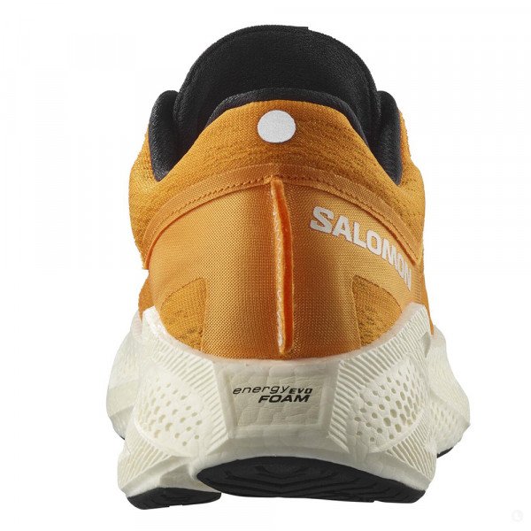 Кроссовки для бега мужские Salomon Aero glide 3 