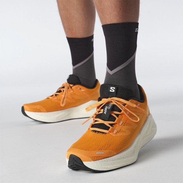 Кроссовки для бега мужские Salomon Aero glide 3 