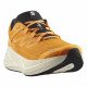 Кроссовки для бега мужские Salomon Aero glide 3 