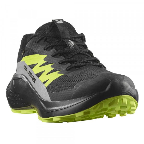 Кроссовки для бега мужские Salomon Alphaglide gtx 