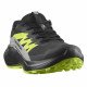 Кроссовки для бега мужские Salomon Alphaglide gtx 