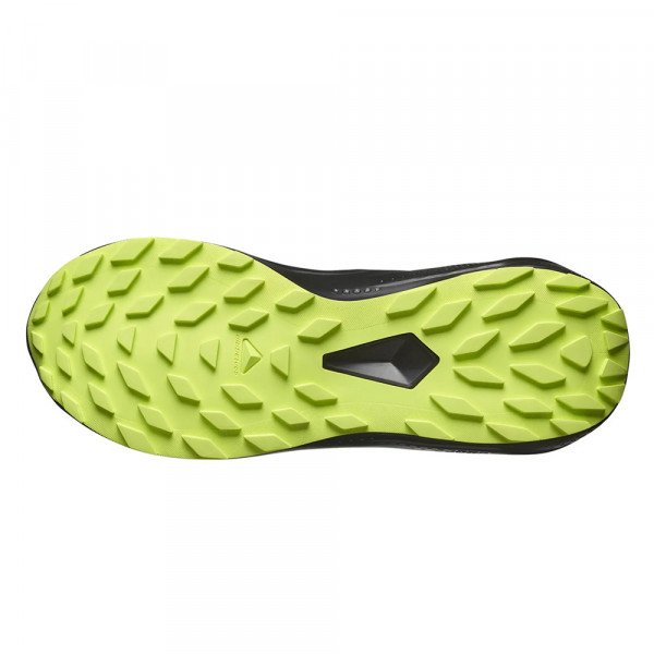Кроссовки для бега мужские Salomon Alphaglide gtx 