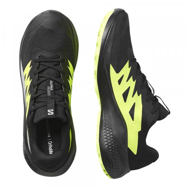 Кроссовки для бега мужские Salomon Alphaglide gtx 