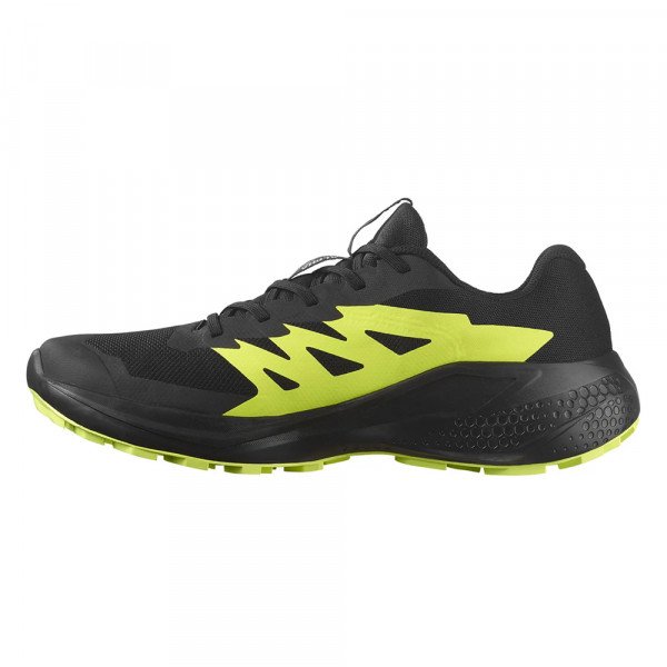 Кроссовки для бега мужские Salomon Alphaglide gtx 