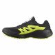 Кроссовки для бега мужские Salomon Alphaglide gtx 