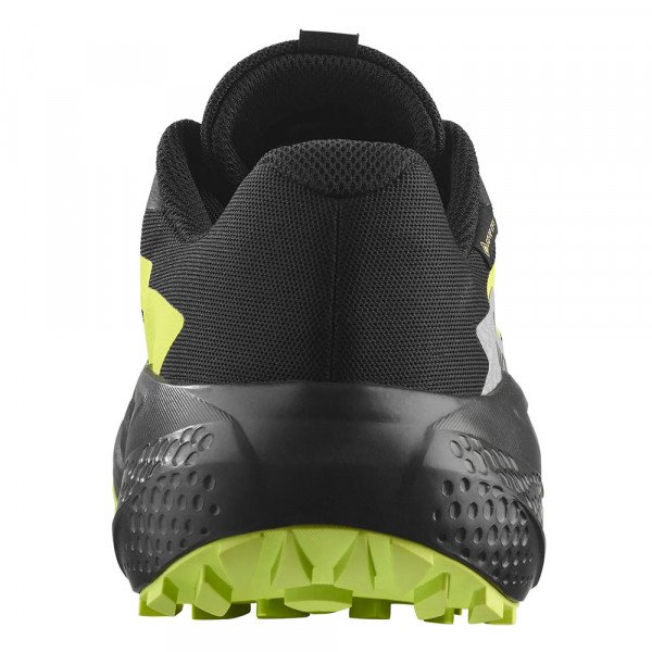 Кроссовки для бега мужские Salomon Alphaglide gtx 