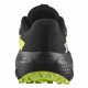 Кроссовки для бега мужские Salomon Alphaglide gtx 