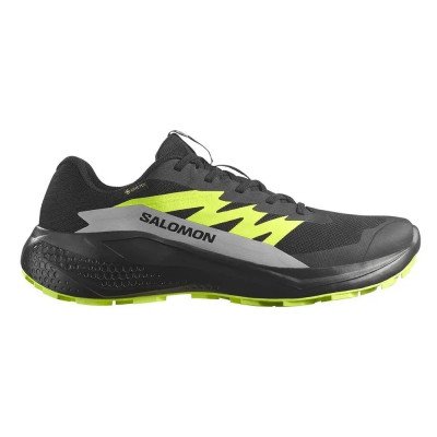 Кроссовки для бега мужские Salomon Alphaglide gtx  Кроссовки для бега мужские Salomon Alphaglide gtx