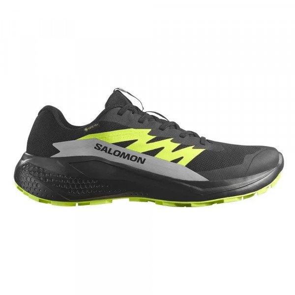 Кроссовки для бега мужские Salomon Alphaglide gtx 