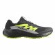 Кроссовки для бега мужские Salomon Alphaglide gtx 