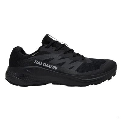 Кроссовки для бега мужские Salomon Alphaglide gtx  Кроссовки для бега мужские Salomon Alphaglide gtx
