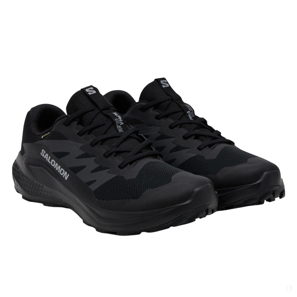 Кроссовки для бега мужские Salomon Alphaglide gtx Кроссовки для бега мужские Salomon Alphaglide gtx