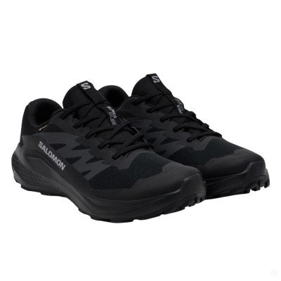Кроссовки для бега мужские Salomon Alphaglide gtx  Кроссовки для бега мужские Salomon Alphaglide gtx