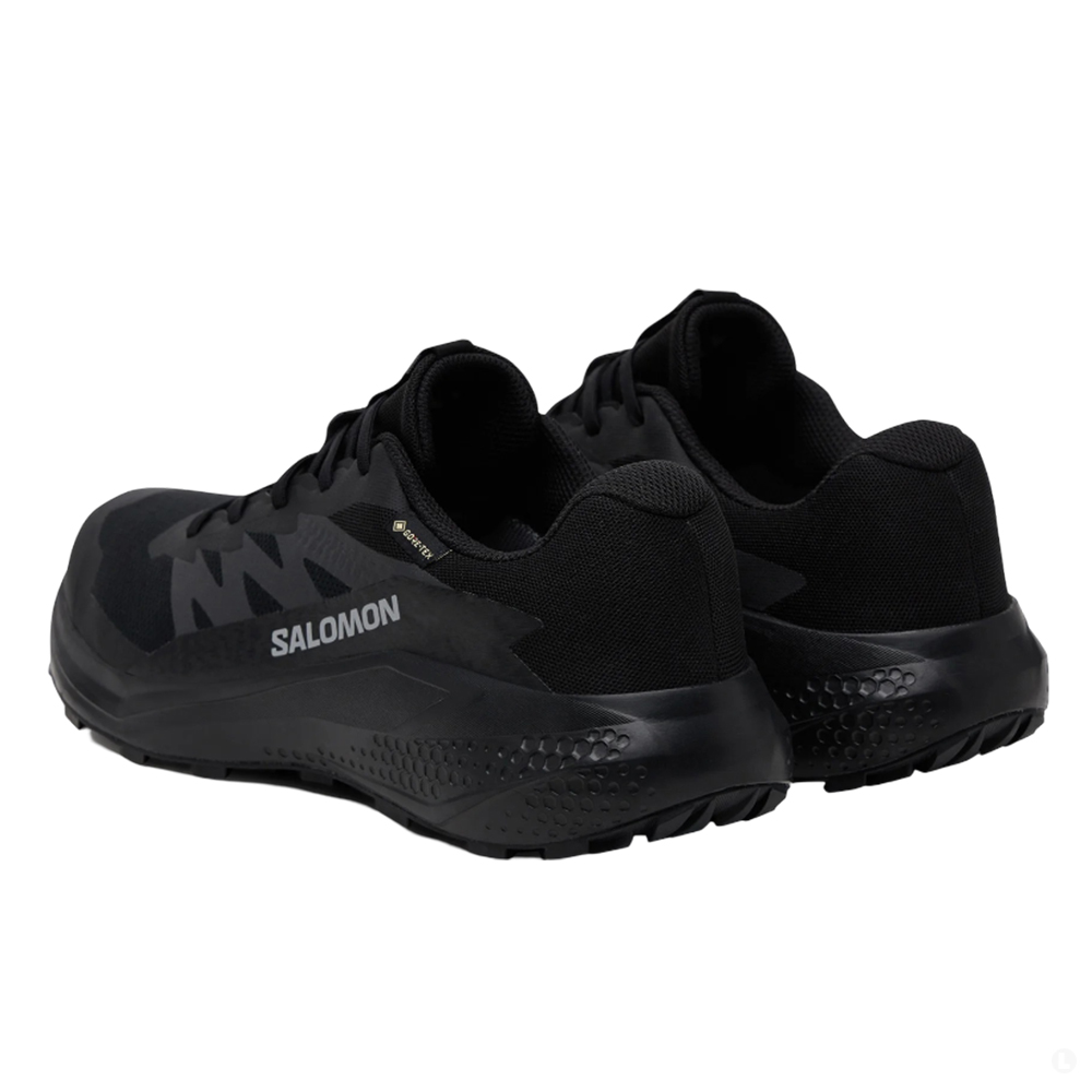 Кроссовки для бега мужские Salomon Alphaglide gtx Кроссовки для бега мужские Salomon Alphaglide gtx