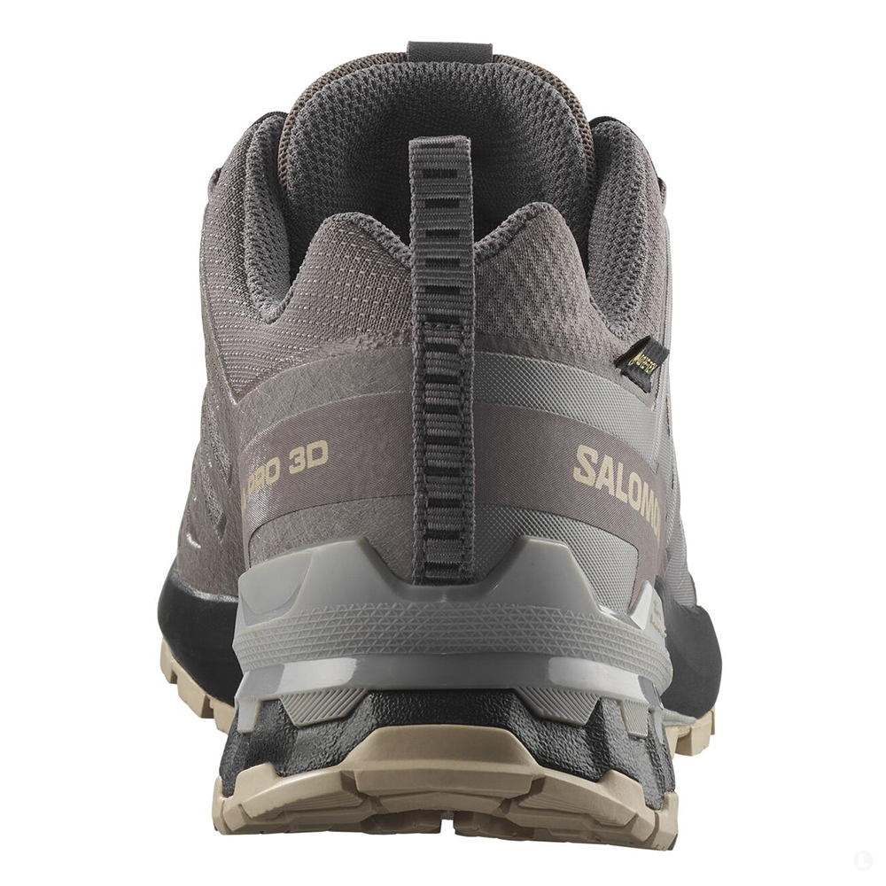Треккинговые кроссовки женские Salomon Xa pro 3d v9 gtx 