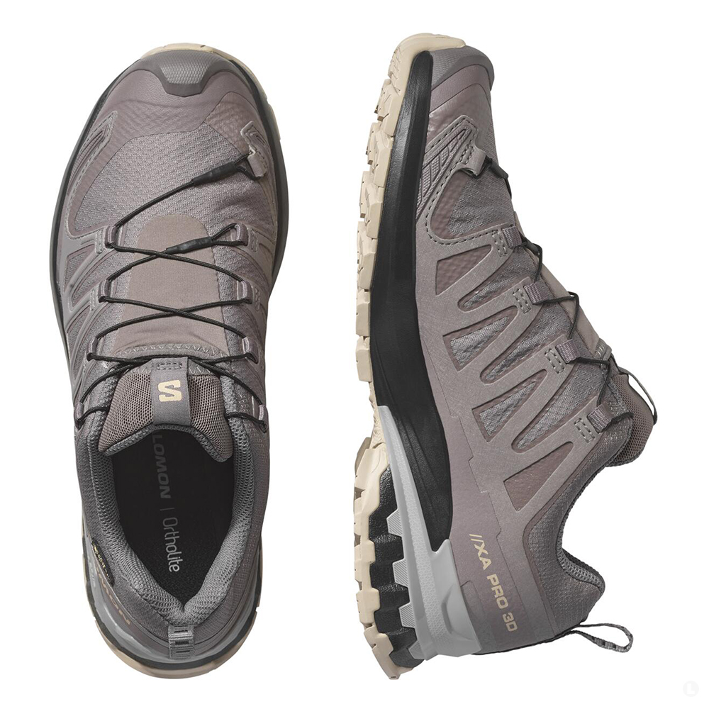 Треккинговые кроссовки женские Salomon Xa pro 3d v9 gtx 