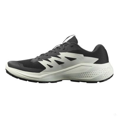 Кроссовки для бега мужские Salomon Alphaglide  Кроссовки для бега мужские Salomon Alphaglide