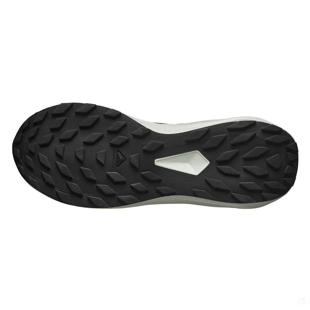 Кроссовки для бега мужские Salomon Alphaglide 