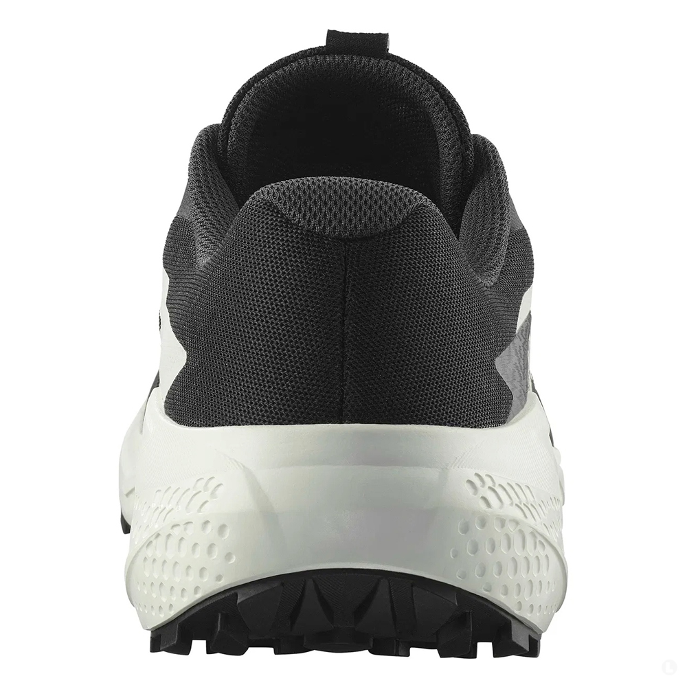 Кроссовки для бега мужские Salomon Alphaglide 