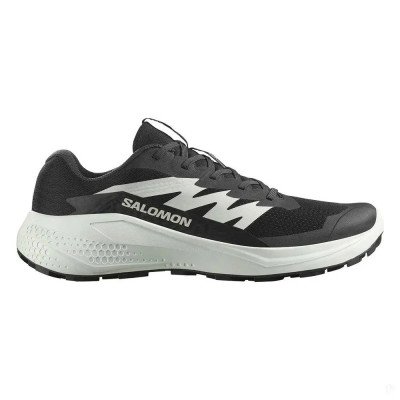Кроссовки для бега мужские Salomon Alphaglide  Кроссовки для бега мужские Salomon Alphaglide