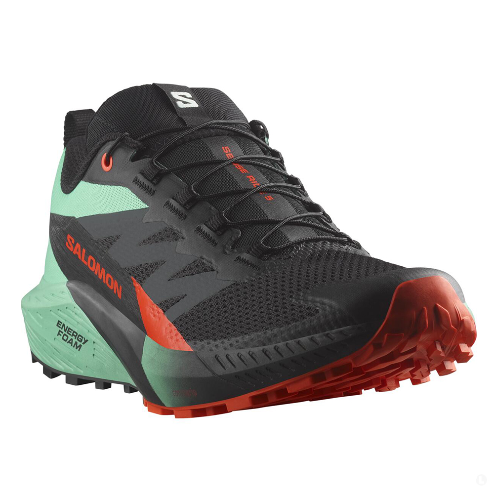 Кроссовки для бега мужские Salomon Sense ride 5 