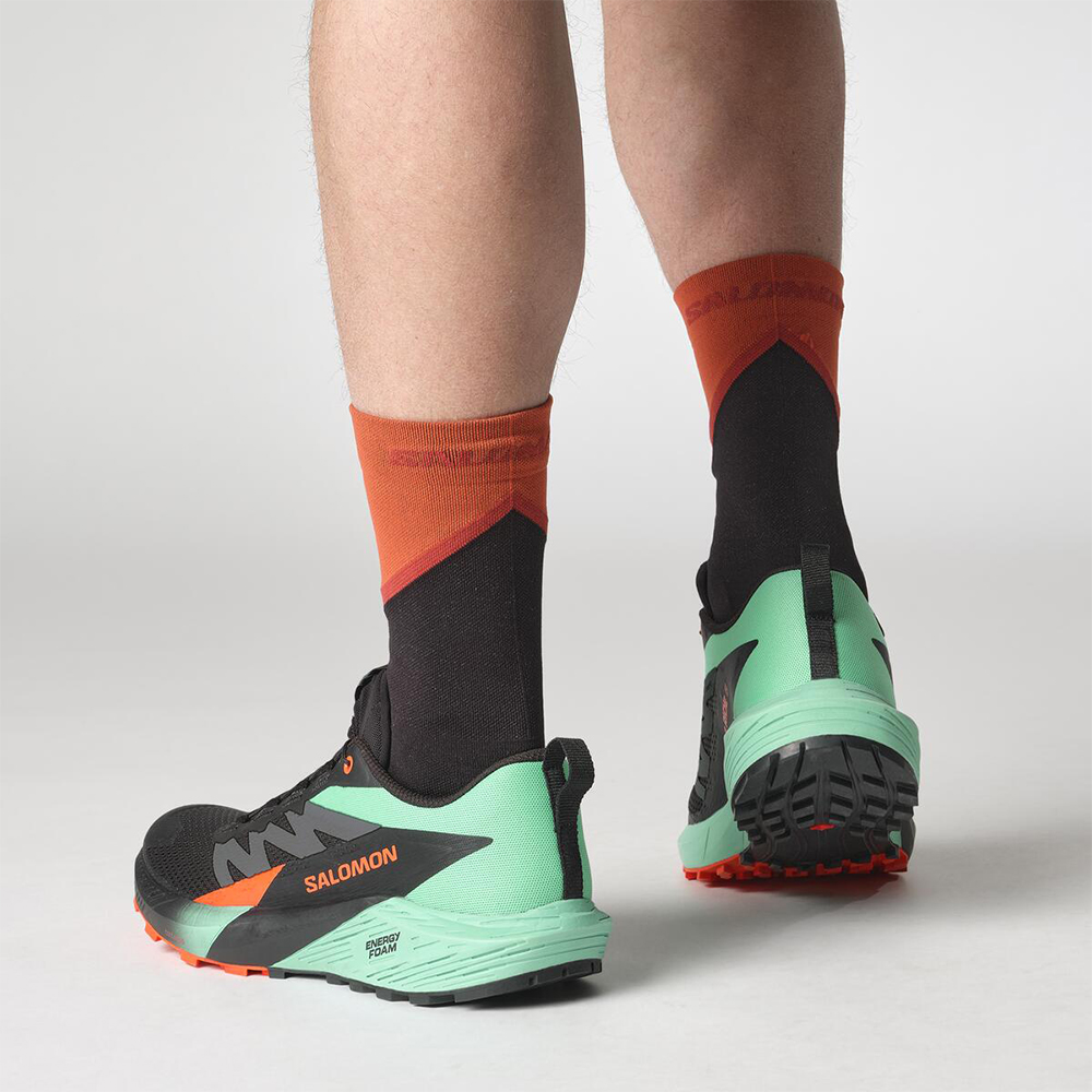 Кроссовки для бега мужские Salomon Sense ride 5 