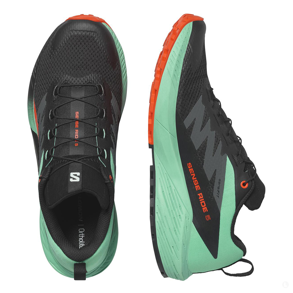 Кроссовки для бега мужские Salomon Sense ride 5 