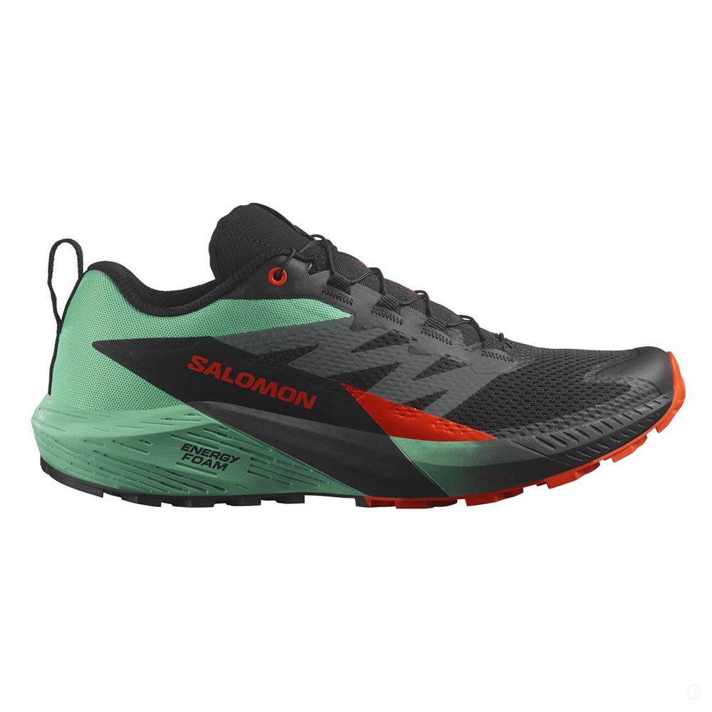 Кроссовки для бега мужские Salomon Sense ride 5 