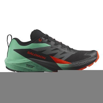Кроссовки для бега мужские Salomon Sense ride 5  Кроссовки для бега мужские Salomon Sense ride 5