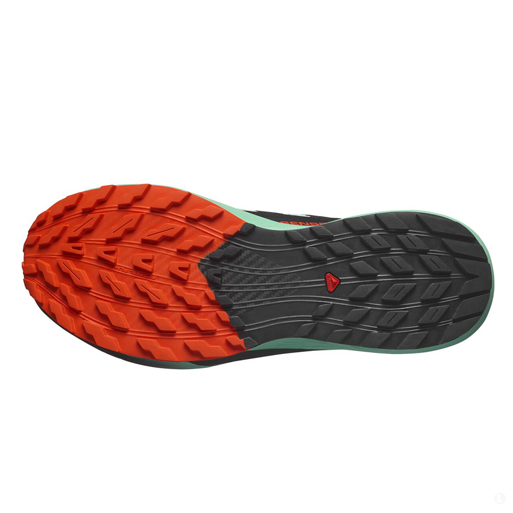 Кроссовки для бега мужские Salomon Sense ride 5 