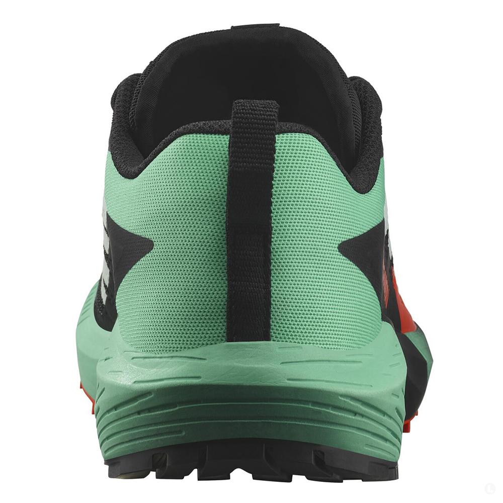 Кроссовки для бега мужские Salomon Sense ride 5 