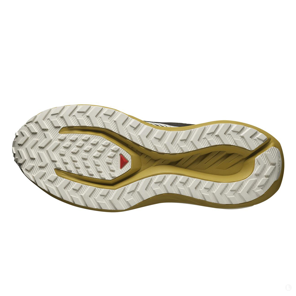 Кроссовки для бега мужские Salomon Drx Defy Grvl  