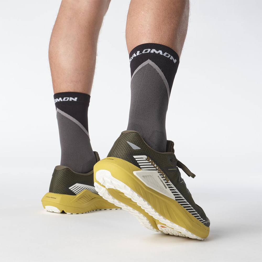 Кроссовки для бега мужские Salomon Drx Defy Grvl  