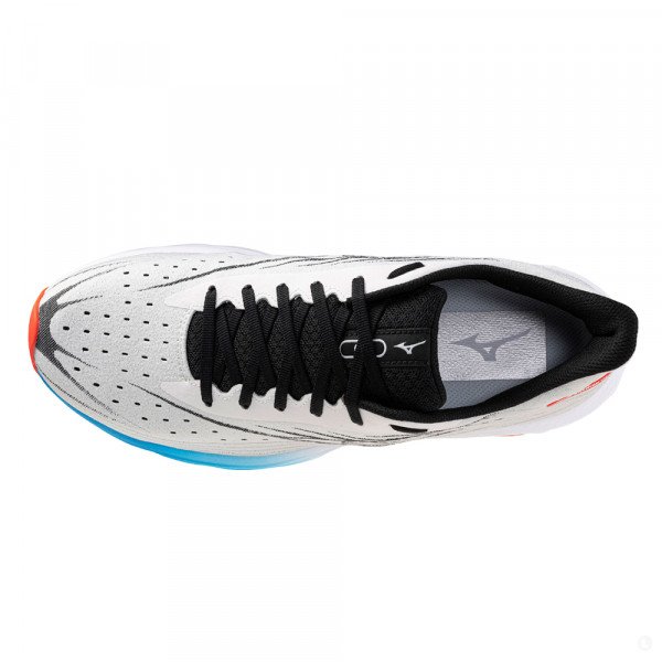 Кроссовки для бега мужские Mizuno Wave Skyrise 6 