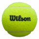 Мячи для падел-тенниса Wilson Premier х3 