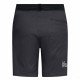 Шорты туристические мужские La Sportiva Roots Shorts 