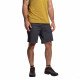 Шорты туристические мужские La Sportiva Roots Shorts 