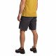 Шорты туристические мужские La Sportiva Roots Shorts 