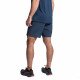 Шорты спортивные мужские La Sportiva Ultra Distance Shorts 