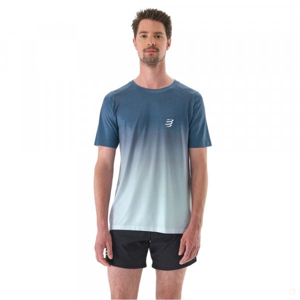 Футболка мужская Compressport Performance 
