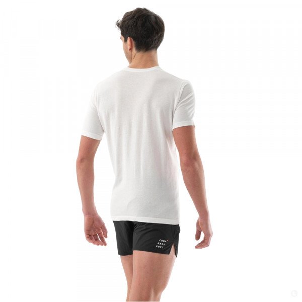 Футболка мужская Compressport Podium 