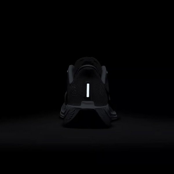 Кроссовки для бега женские Nike Pegasus plus 