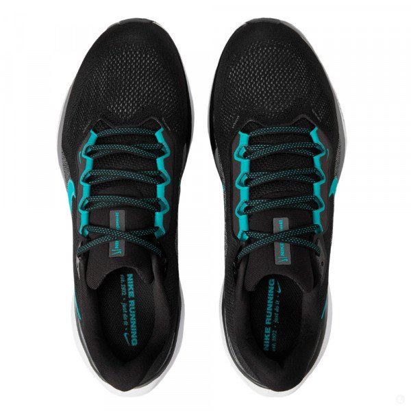 Кроссовки для бега мужские Nike Air zoom pegasus 41 