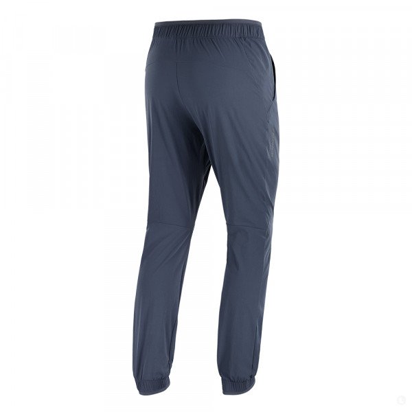 Брюки мужские Salomon Wayfarer Ease