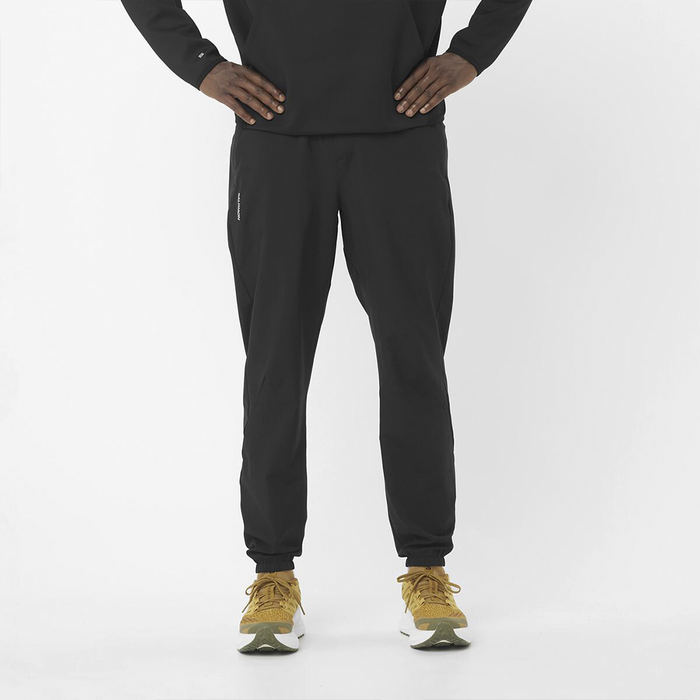 Брюки мужские Salomon Wayfarer Ease