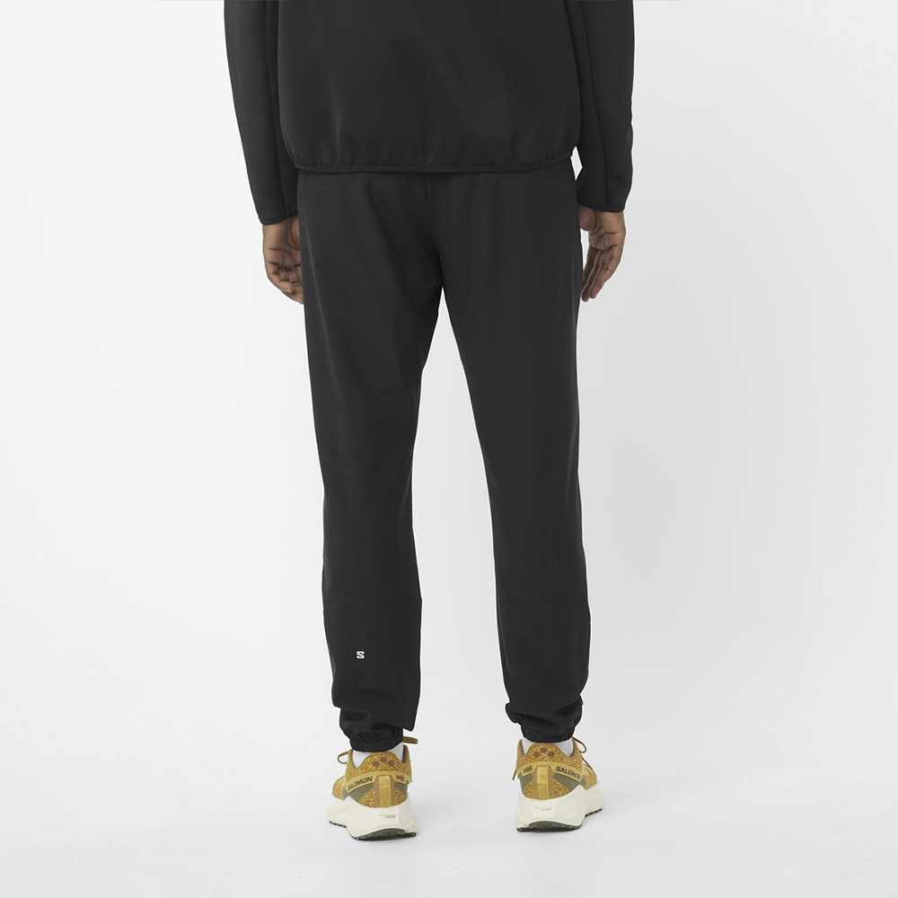 Брюки мужские Salomon Wayfarer Ease