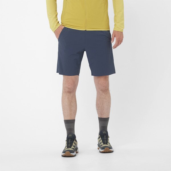 Шорты мужские Salomon Wayfarer Ease
