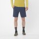 Шорты мужские Salomon Wayfarer Ease